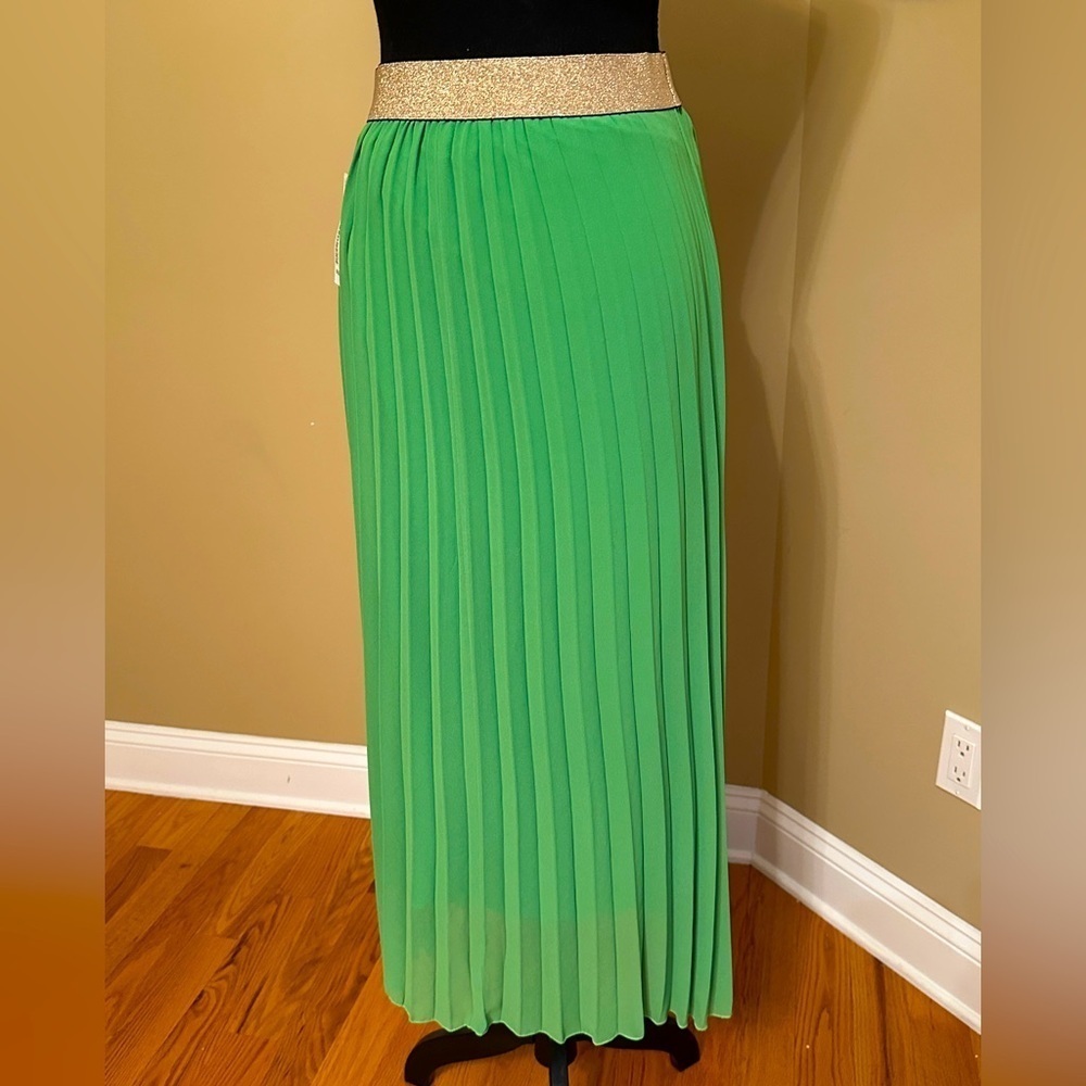 Made in Italy Green pleated skirt with gold elastic waist. One size. New w/tags